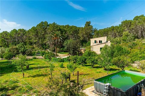 Finca i Llucmajor, Mallorca, Llucmajor - € 1.800.000 | Ref: 46702 - foto 26